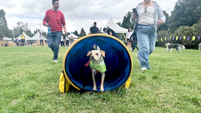 Día de la Familia Guau
