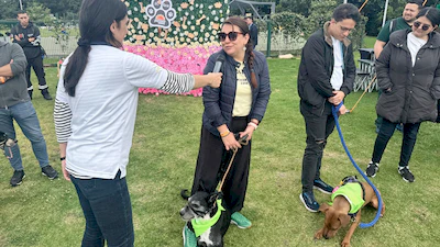 Día de la Familia Guau